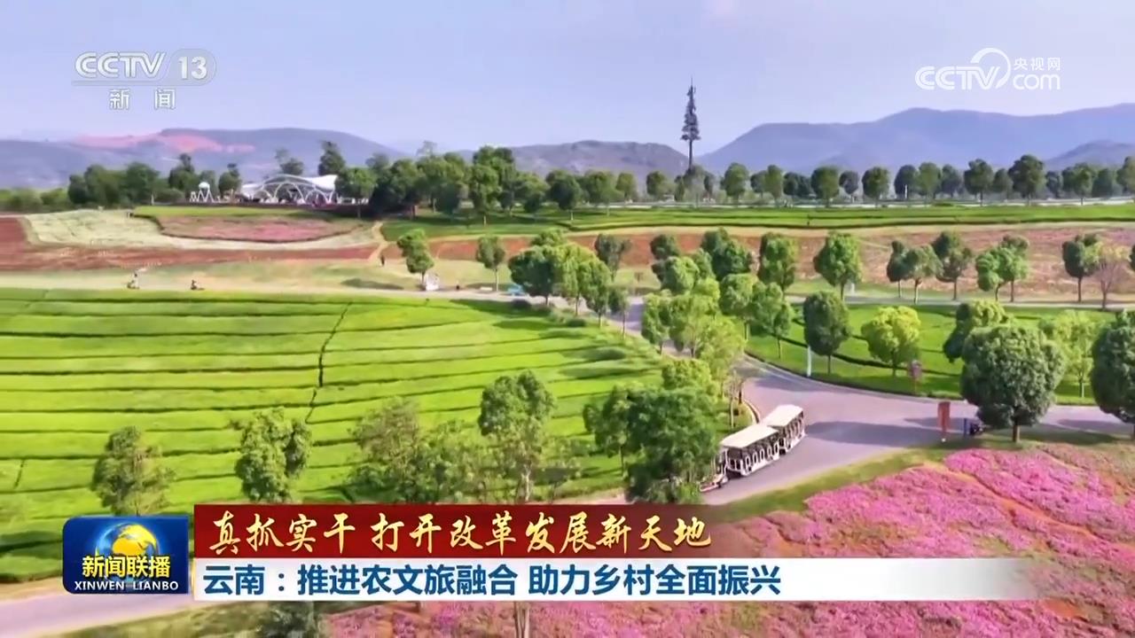 真抓实干 打开改革发展新天地 | 多措并举巩固拓展脱贫攻坚成果 新疆云南扎实推进乡村全面振兴_国内新闻_湖南红网新闻频道