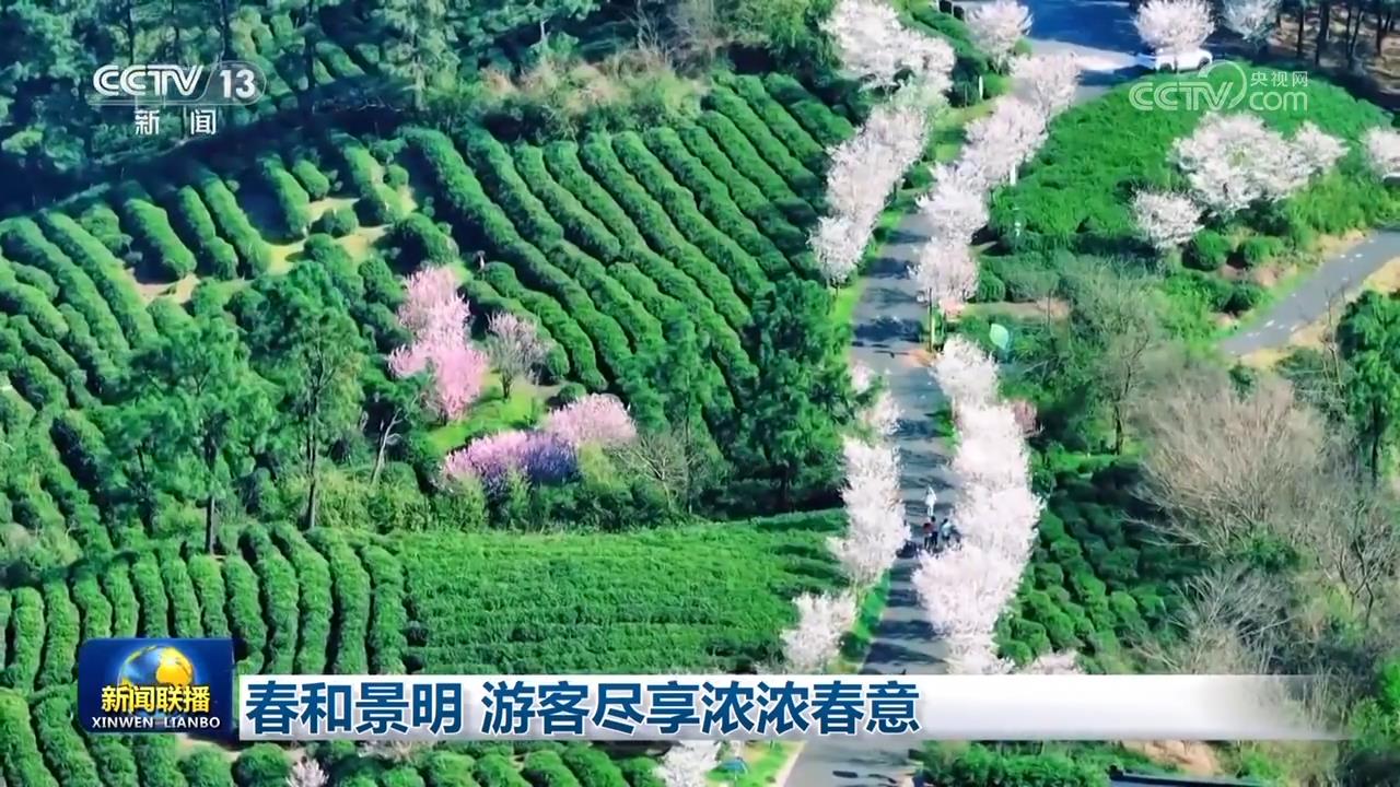 春和景明 游客尽享浓浓春意