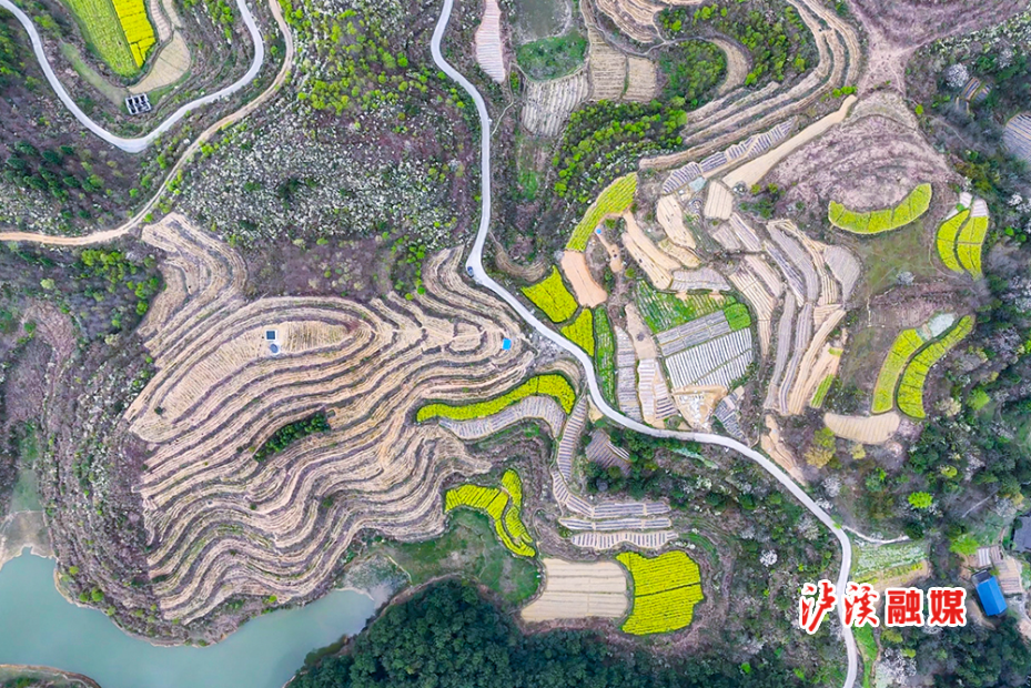 DJI_20230910224628_0003_D.MP4_20250403_154503.406.jpg