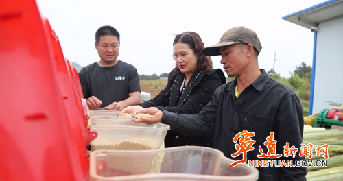 【拼经济·抓项目·促发展】宁远：大豆玉米“复合种植”助农“一地双收”_副本500.png