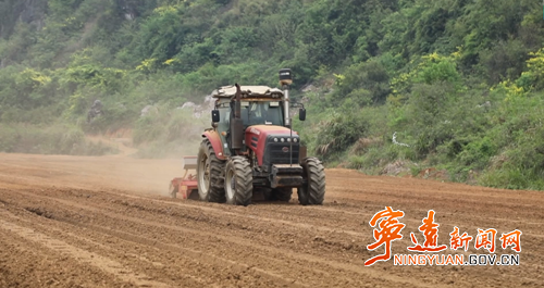 【拼经济·抓项目·促发展】宁远：大豆玉米“复合种植”助农“一地双收”2_副本500.png
