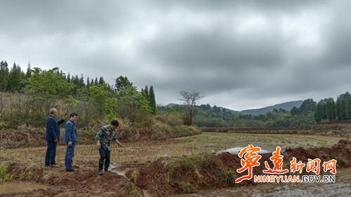 宁远县医疗保障局：春雨润良田 干群抢农时3_副本500.jpg