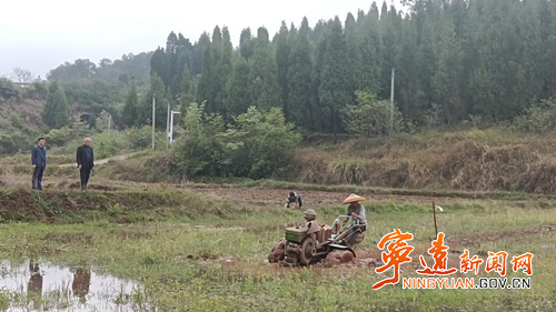 宁远县医疗保障局：春雨润良田 干群抢农时2_副本500.png