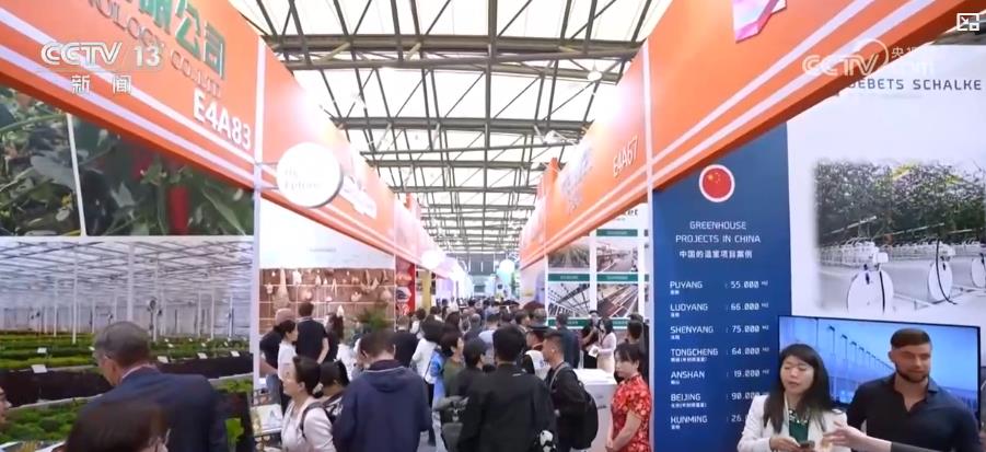 “鲜花经济”一路生花!我国花卉海外贸易持续增长 产业竞争力显著增强