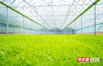 永州冷水灘：田間添新綠