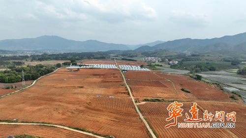 【拼经济·抓项目·促发展】宁远：巩固拓展脱贫攻坚成果园助农增收3_副本500.png