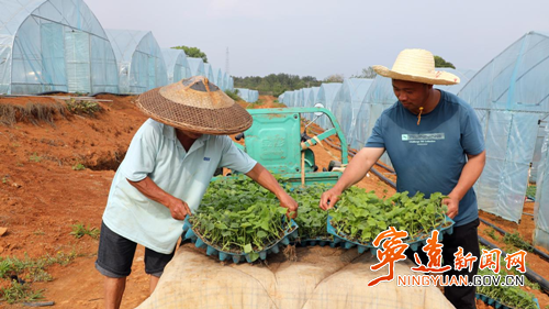 【拼经济·抓项目·促发展】宁远：巩固拓展脱贫攻坚成果园助农增收2_副本500.png