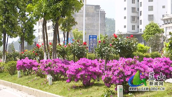 美丽蓝山：百花盛开春意浓 一路一景皆成画.jpg