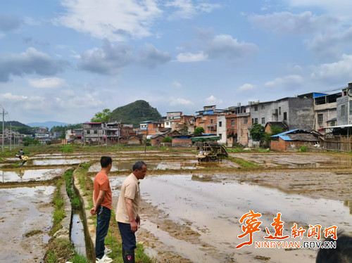 宁远县桐木漯瑶族乡：早稻插秧正当时 田间地头展新颜_副本500.jpg