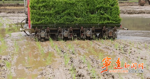 【拼经济·抓项目·促发展】宁远九疑瑶族乡：高标准农田助力春耕生产3_副本500.jpg