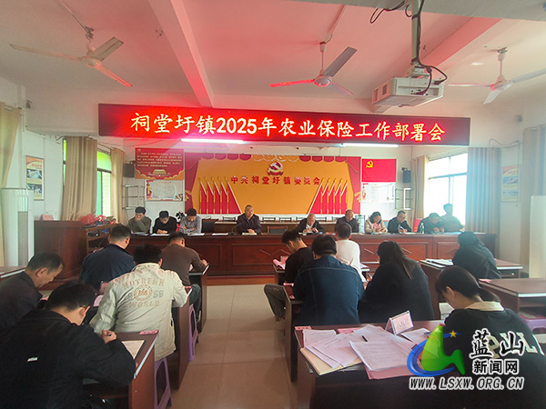 祠堂圩镇召开2025年农业保险工作部署会.jpg