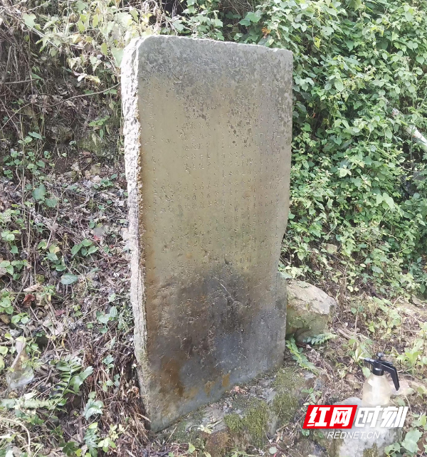 微信图片_20250422113558_副本_副本.jpg
