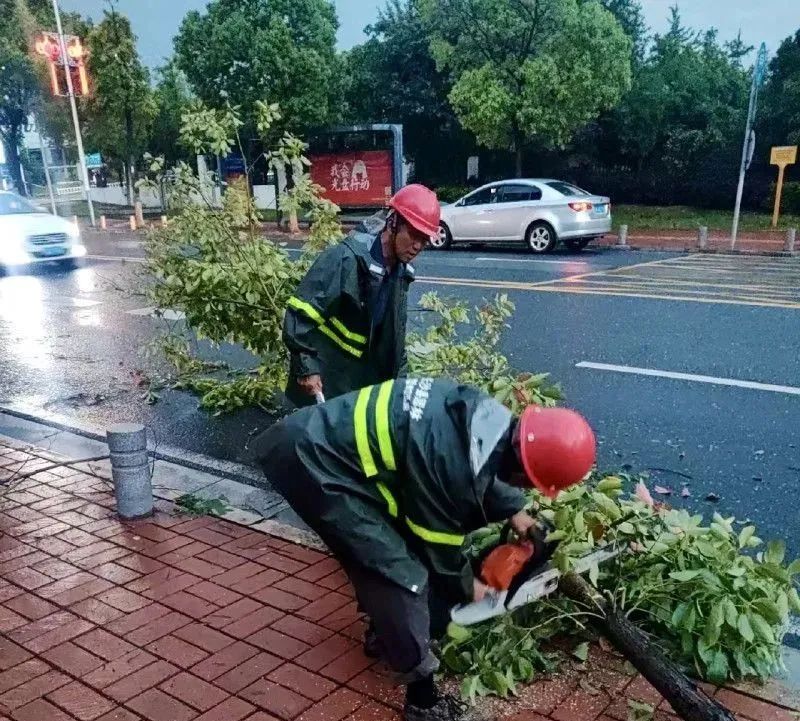 园林工人接报后迅速赶往现场清理倒伏树枝。均为长沙县城管局供图