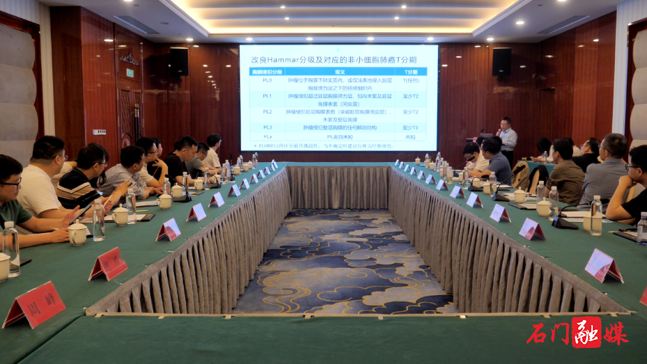 县人民医院举办“肺行沅澧 胸襟石门”常德市胸外科学术沙龙(石门站)会议1.png 县人民医院举办“肺行沅澧 胸襟石门”常德市胸外科学术沙龙(石门站)会议1.png