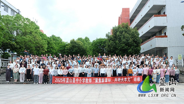 蓝山：双线融合促成长 协同研修共提升.jpg