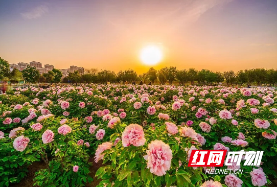 QQ20250424-093906.png