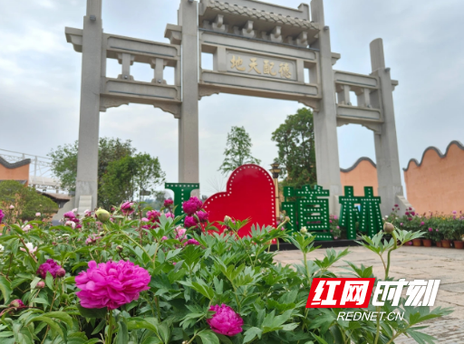 QQ20250424-093930.png