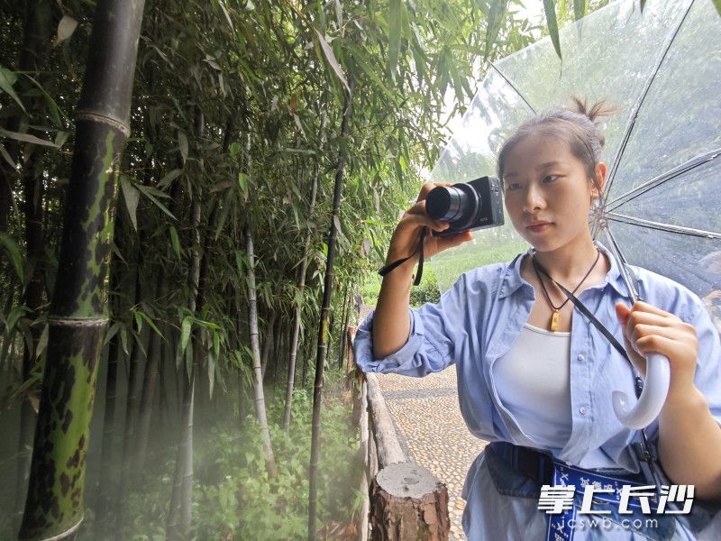来自贵州日报的记者在拍斑竹。