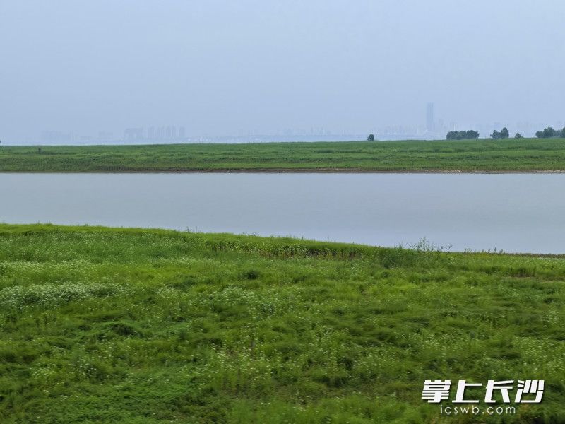 君山岛上水碧草绿。