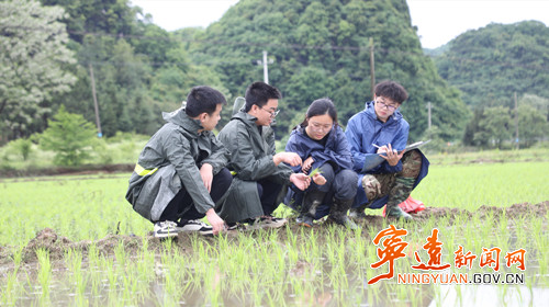 宁远：农业科技人才助力春耕生产_副本500.jpg