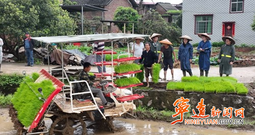 宁远：农业科技人才助力春耕生产2_副本500.jpg
