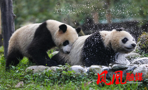 afd4e377-fa1c-4a89-b726-ae5d73f32f9d.png afd4e377-fa1c-4a89-b726-ae5d73f32f9d.png