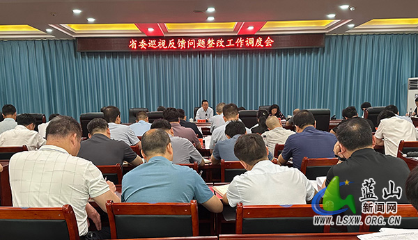 龙向洋主持召开省委巡视反馈问题整改工作调度会.jpg