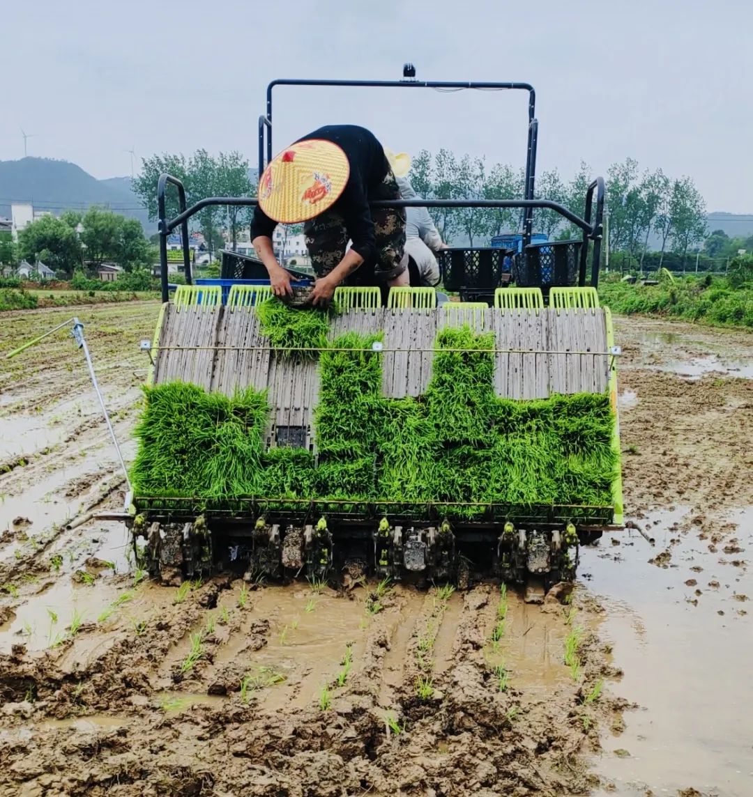 插秧机无人机种植_智慧农业湘江新区_六旋翼植保无人机