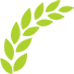 智慧农业湘江新区_六旋翼植保无人机_插秧机无人机种植