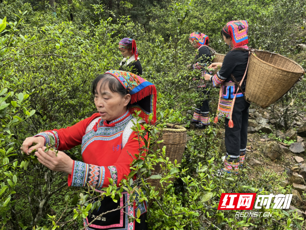 wechat_2025-04-29_084842_780.png