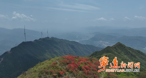 宁远桐木漯瑶族乡：高山杜鹃红 游客踏香来_副本500.jpg