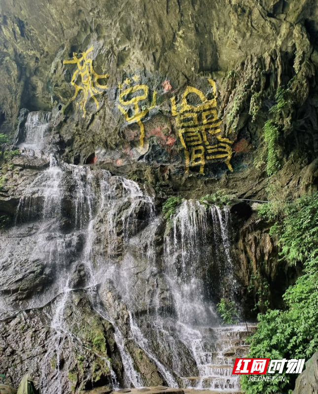 图片1(1).png