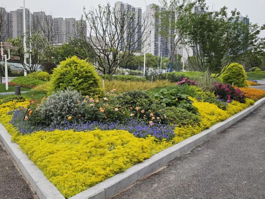2.隆平水稻博物馆前坪1.jpg