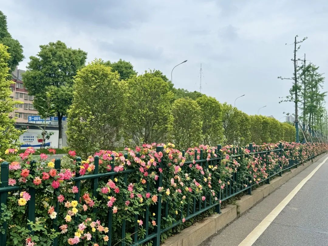 6.营盘路2.jpg