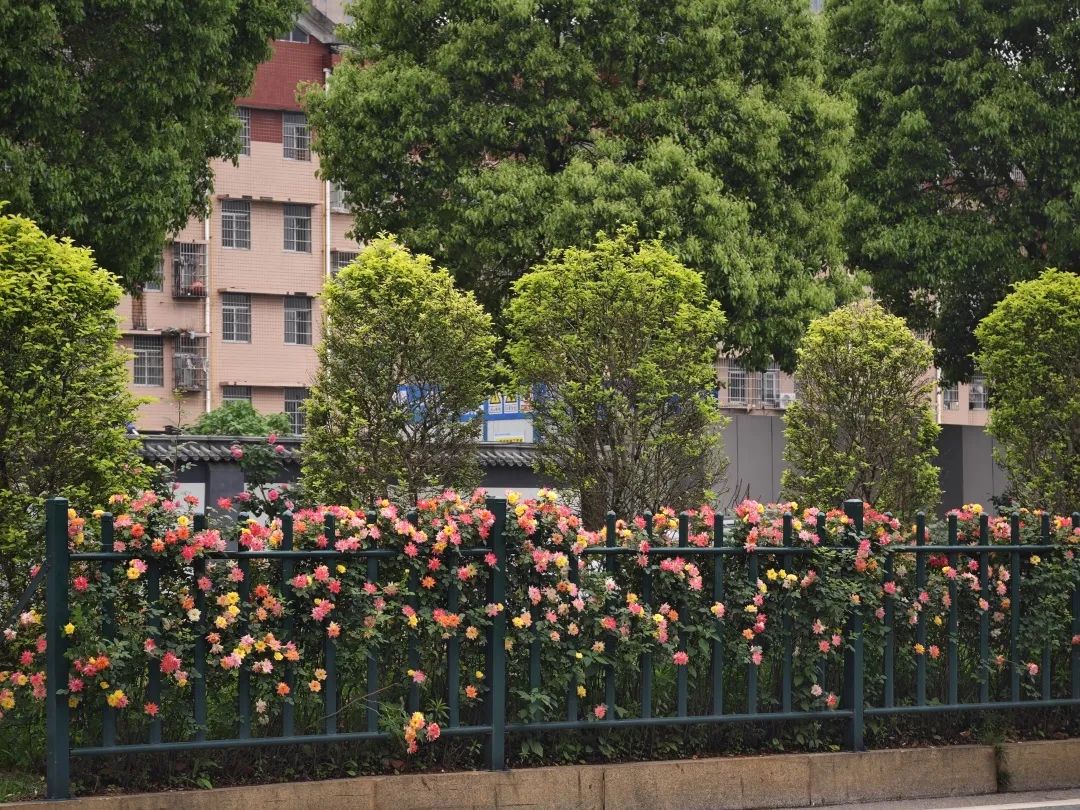 6.营盘路3.jpg