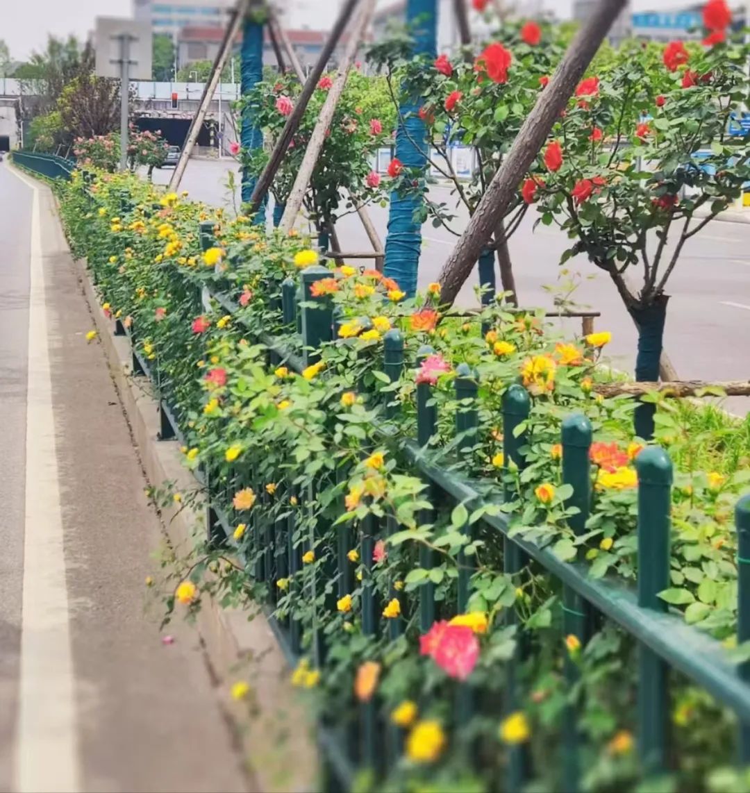 6.营盘路1.jpg