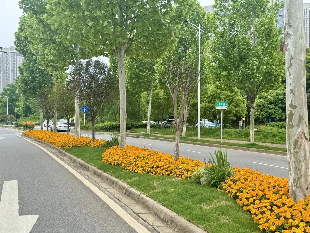 4.滨河路1.jpg
