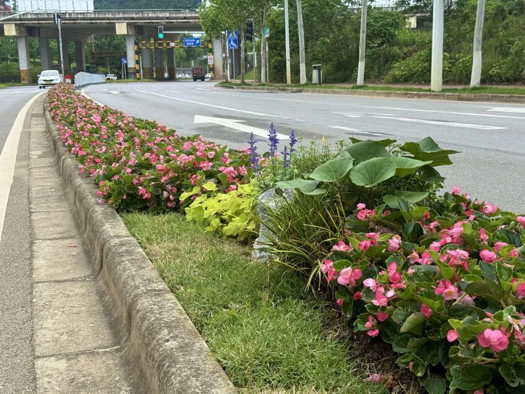 4.滨河路2.jpg