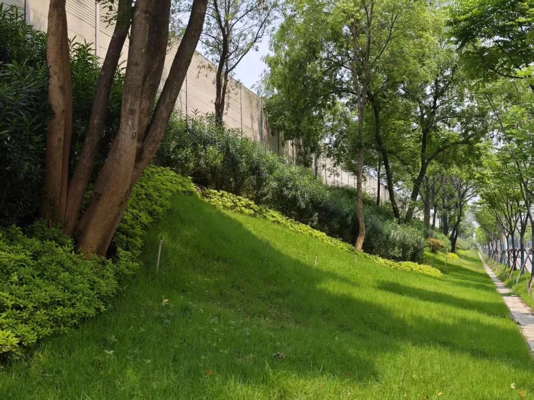 3.京珠高速东辅道2.jpg