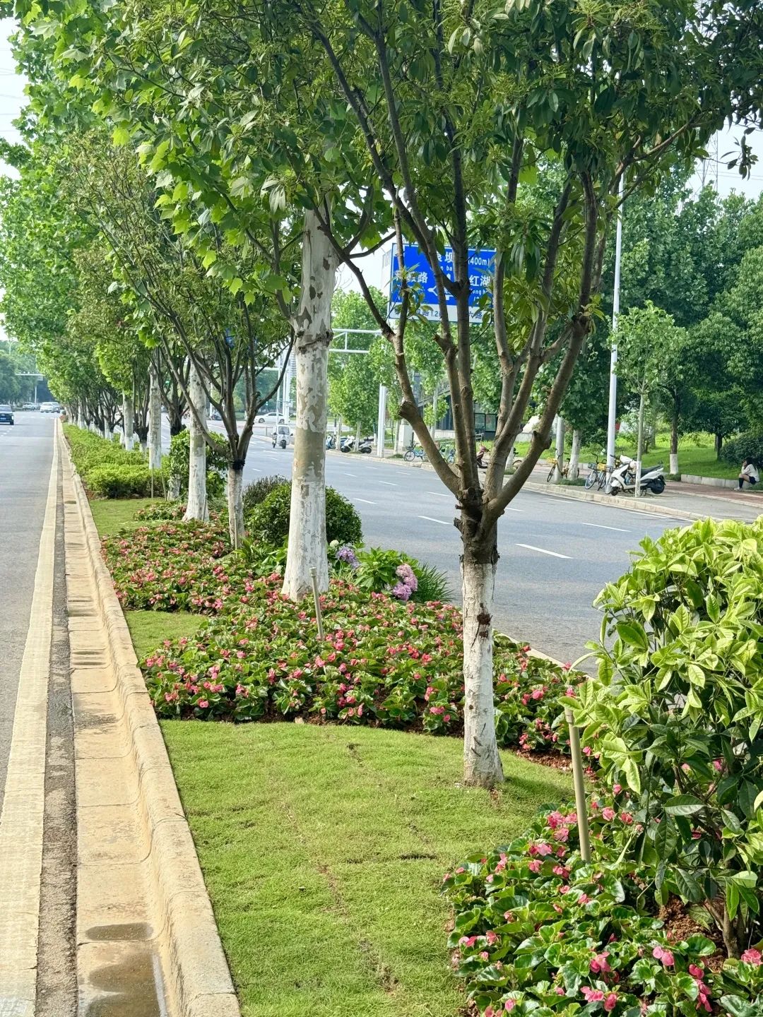 5.合平路3.jpg