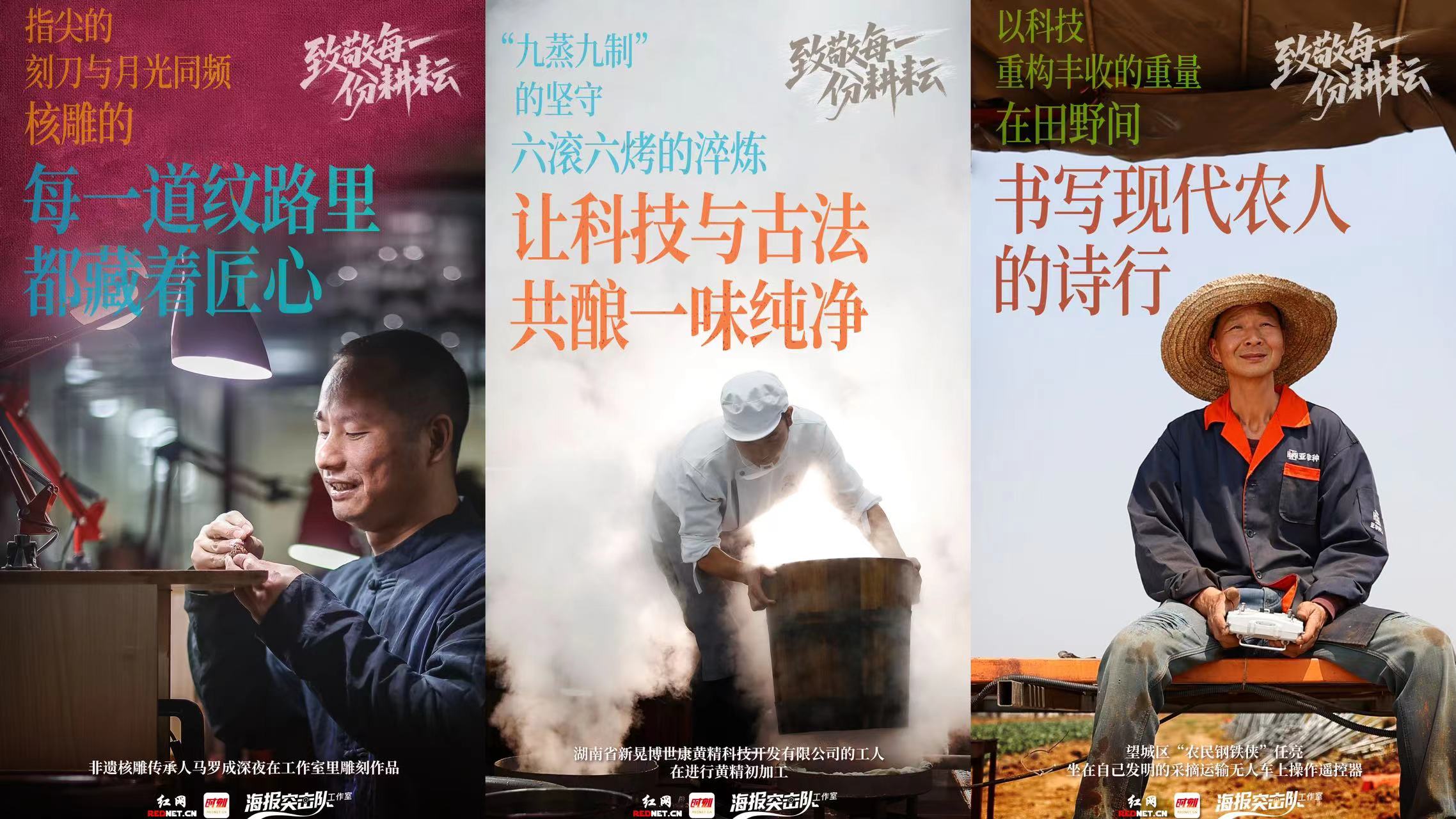 海报丨致敬每一份耕耘