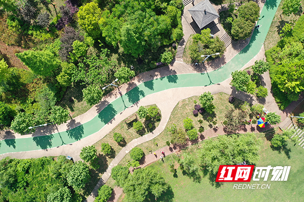 DJI_0699.jpg
