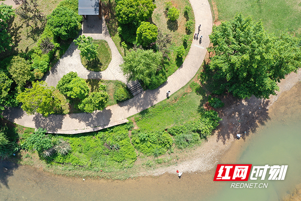 DJI_0660.jpg