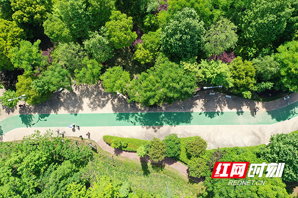 DJI_0708.jpg