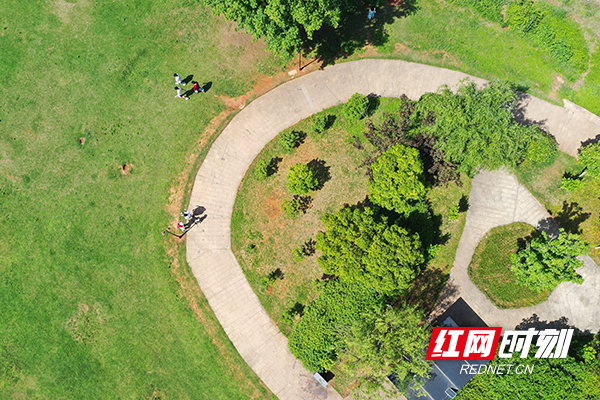 DJI_0762.jpg