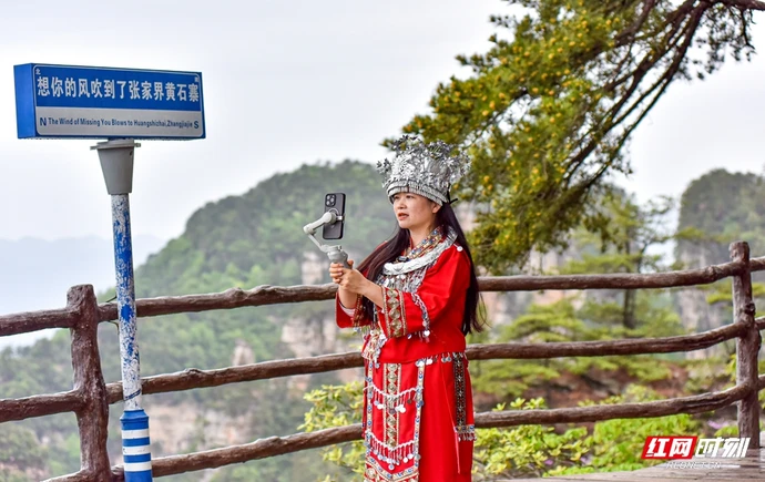 五一特别策划｜张家界风景守护者：藏在风景里的“山水密码”宣传员来“解码”