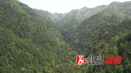 DJI_0947[20250502-151407].png