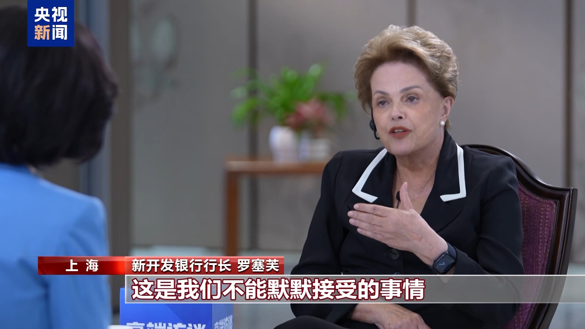 开发银行Rosef的新任总