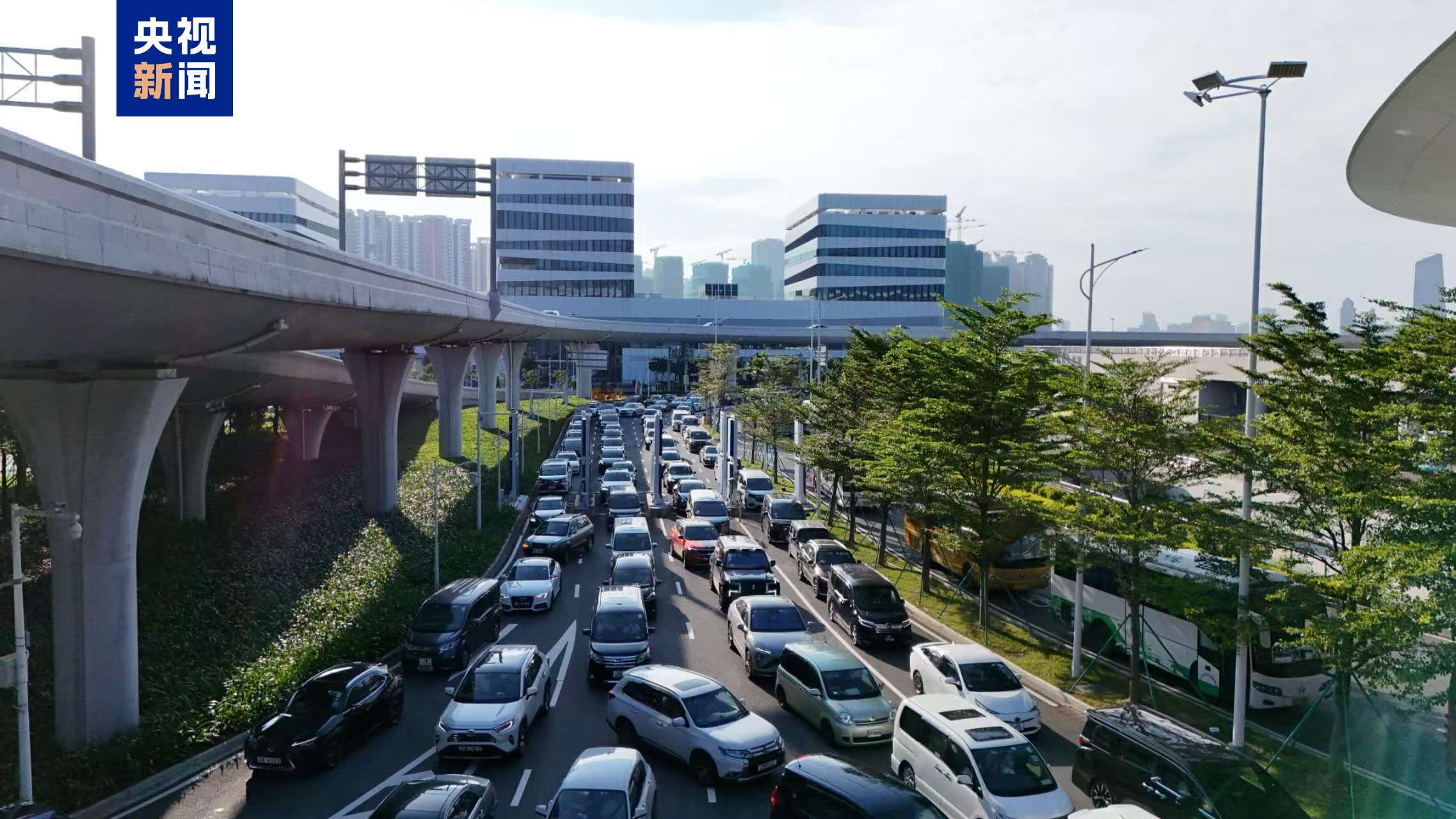 香港Zhuhai-Macao桥袭击了日常交通的新高处