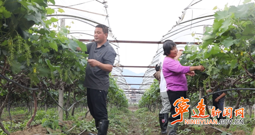 【拼经济·抓项目·促发展】宁远：产业兴旺带就业 有效衔接促发展2_副本500.png